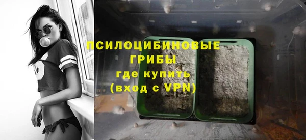 винт Алексин