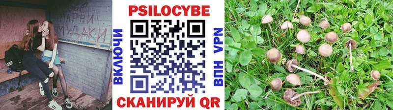 Галлюциногенные грибы Magic Shrooms  omg маркетплейс  Санкт-Петербург  наркотики 